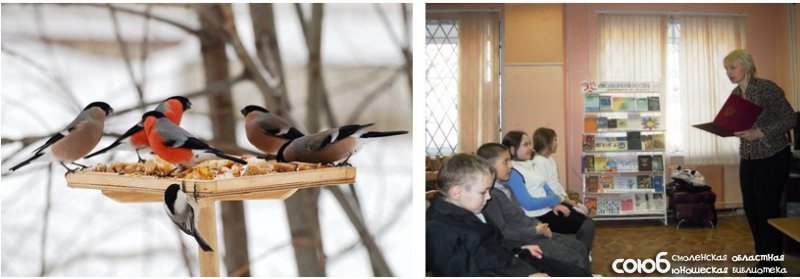Смоленская областная юношеская библиотека. «Покормите птиц зимой»